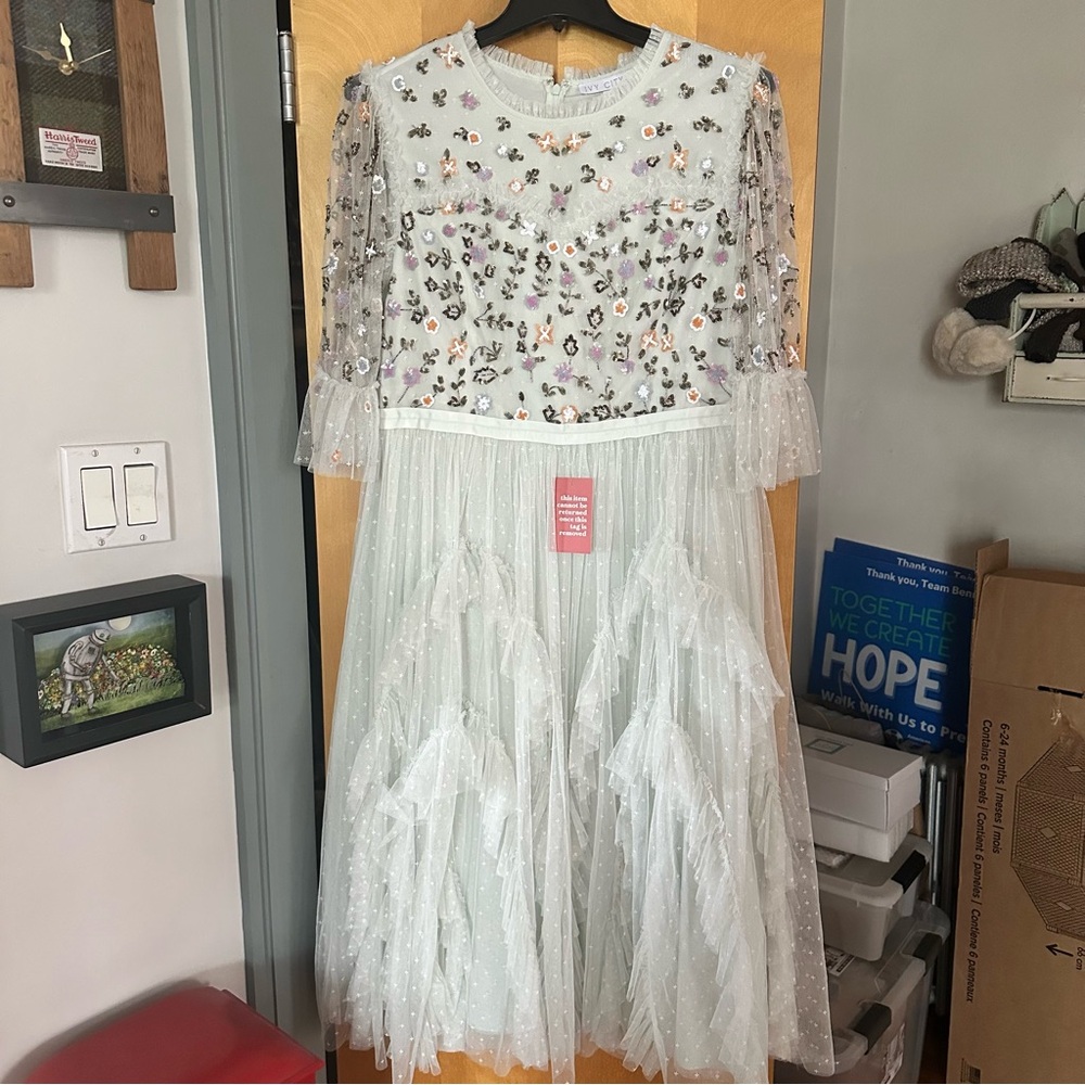 Ivy City Paris Dress in Seafoam 1X